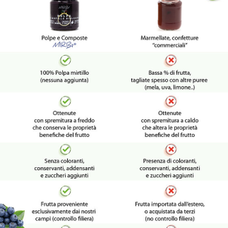 Polpa di mirtilli biologici 300g